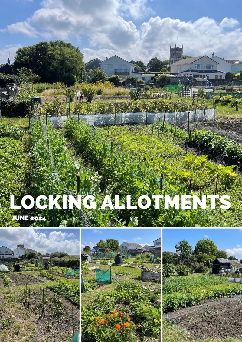 Allotments - June 2024